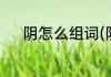 阴怎么组词(阴怎么组词两个字)