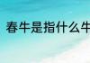春牛是指什么牛(春牛的意思是什么)
