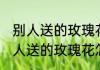 别人送的玫瑰花怎么养才不会枯萎(别人送的玫瑰花怎么养才不会枯萎掉)