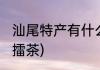 汕尾特产有什么(汕尾特产有什么作文擂茶)