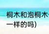 桐木和泡桐木一样吗(泡桐木跟桐木是一样的吗)