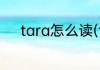 tara怎么读(tara怎么读音发音)