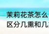 茉莉花茶怎么区分几熏(茉莉花茶怎么区分几熏和几熏)