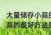 大量储存小蒜的最好方法(大量储存小蒜的最好方法是什么)