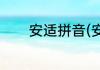 安适拼音(安适拼音怎么写的)