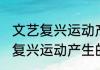 文艺复兴运动产生的前提是什么(文艺复兴运动产生的前提是什么意思)