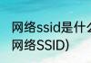 网络ssid是什么意思怎么设置(什么是网络SSID)
