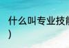 什么叫专业技能(什么叫专业技能面试)