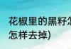 花椒里的黑籽怎么去掉(花椒里的黑籽怎样去掉)