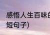 感悟人生百味的短句(感悟人生百味的短句子)