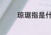 琼琚指是什么(什么叫琼琚)