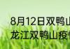 8月12日双鸭山最新疫情确诊人数 黑龙江双鸭山疫情最新确诊多少例