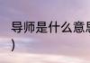 导师是什么意思(双选导师是什么意思)