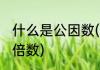 什么是公因数(什么是公因数什么是公倍数)