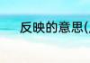 反映的意思(反馈和反映的意思)