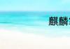 再生涤纶短纤的介绍