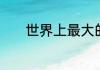 世界上最大的死海在什么地方