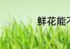 鲜花能不能被太阳晒