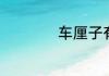 车厘子有苦味的原因