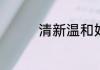 清新温和好听的网名大全
