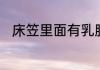床笠里面有乳胶对身体有没有危害