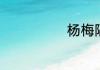 杨梅隔夜能吃吗