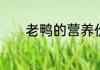 老鸭的营养价值及功效有哪些