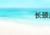 长颈鹿是什么科