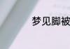 梦见脚被蛇咬了的意思