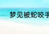 梦见被蛇咬手没出血是什么意思