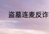 盗墓连麦反诈警官，开局杀杀杀！