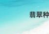 翡翠种水好的解释