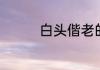 白头偕老的温馨短句集锦