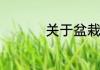 关于盆栽摇钱树如何养