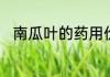 南瓜叶的药用价值和营养价值介绍