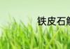 铁皮石斛的作用介绍