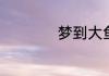 梦到大鱼意思是什么
