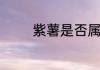 紫薯是否属于膳食纤维食物
