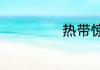 热带惊雷电影介绍