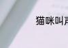 猫咪叫声的意思大全