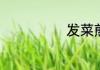 发菜煎饼怎么做