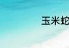 玉米蛇是不是咬人