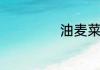 油麦菜能不能煮汤