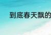 到底春天飘的是杨絮还是柳絮呢
