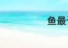鱼最讨厌的气味