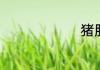 猪肝可以吃
