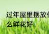 过年屋里摆放什么鲜花 过年家里放什么鲜花好