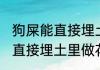 狗屎能直接埋土里做花肥吗 狗屎可以直接埋土里做花肥吗