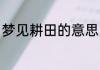 梦见耕田的意思 梦见耕田是什么预兆