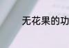 无花果的功效与作用有什么